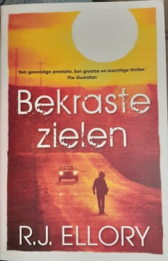 R.J. Ellory - Bekraste zielen.