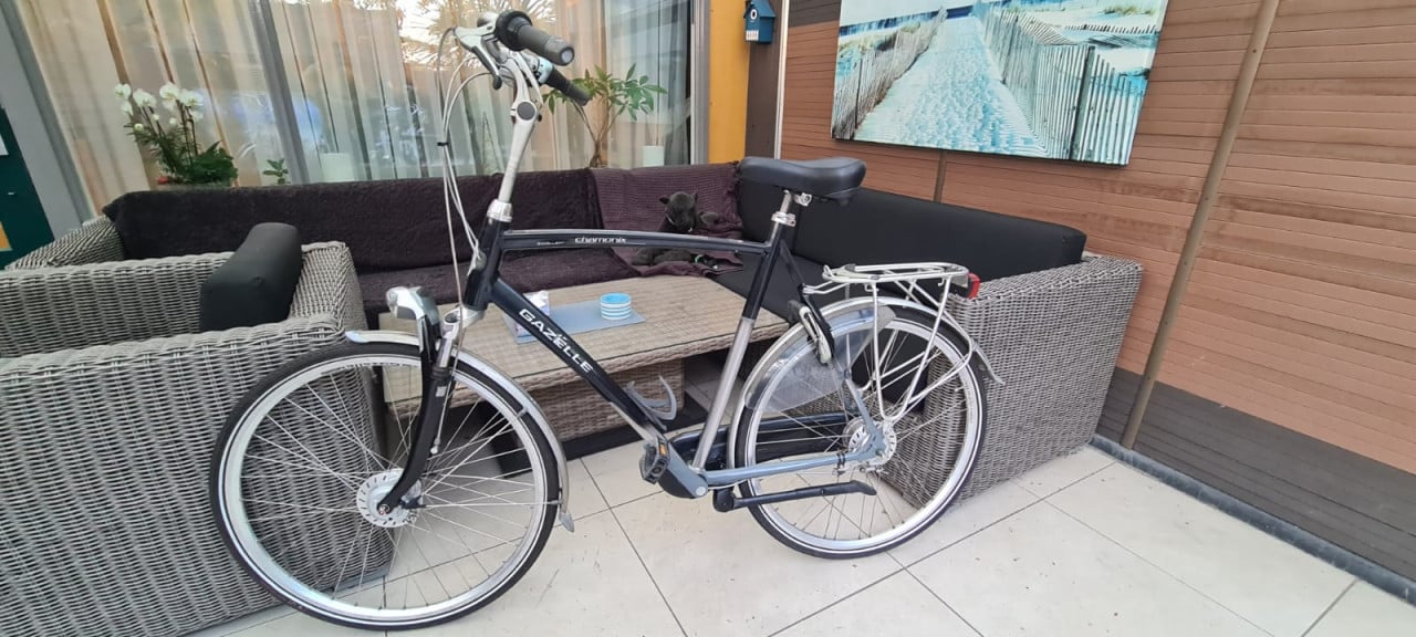 Gazelle Chamonix Excellent 65 cm