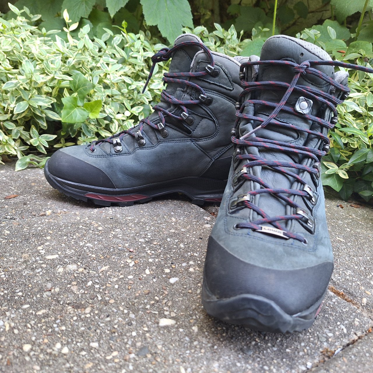 Lowa - Women's Mauria Evo GTX - Wandelschoenen