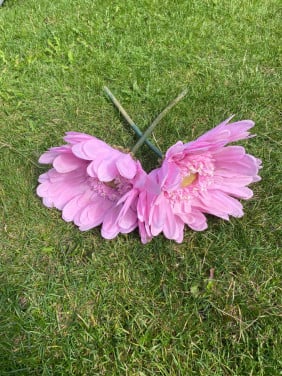 Bloemen 2 stuks