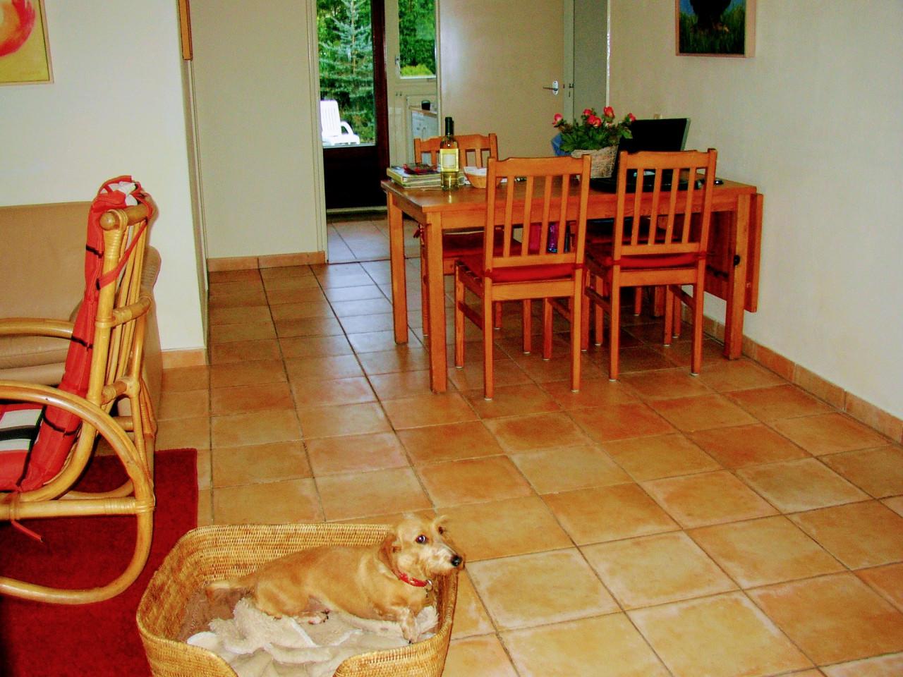 4p. vakantiebungalow, 10 min wandelen: zee, strand, duin en bos