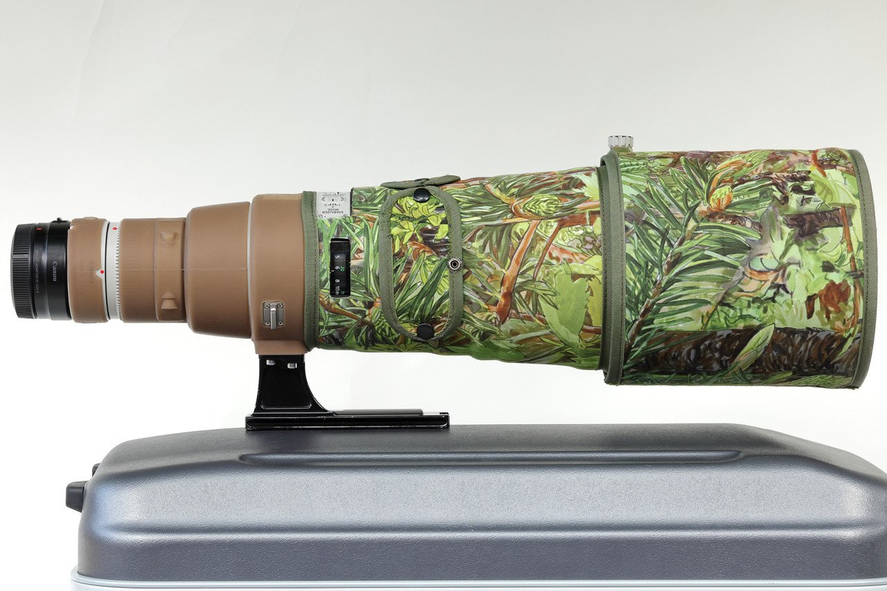 Canon EF 500mm f/4L IS II USM
