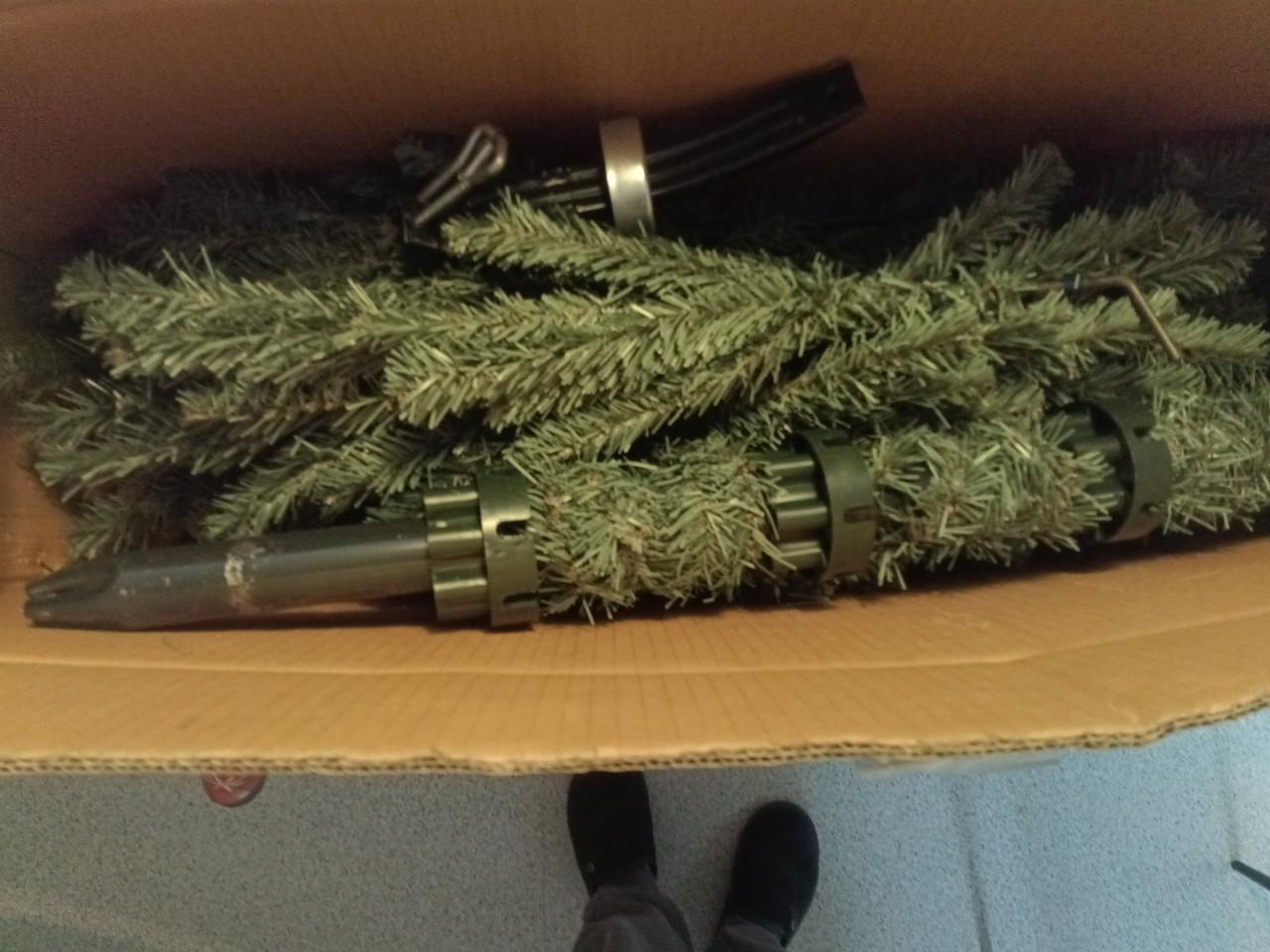 Verschillende kerstbomen