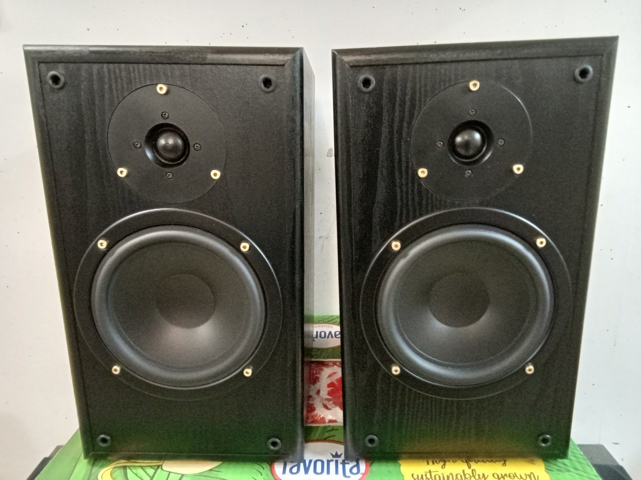 Sony Brooklands Edition Speakers