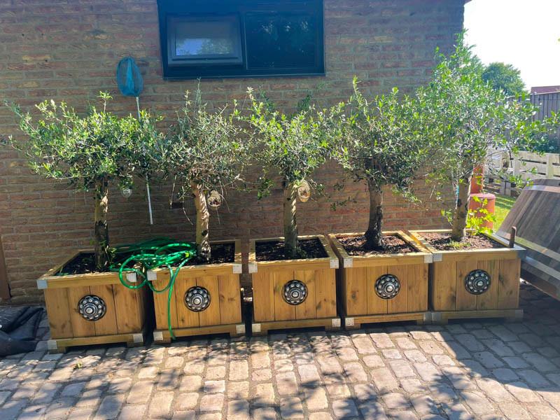 Zeeuwse knop bloembakken projecten ter inspiraties L60 x B60 x H60