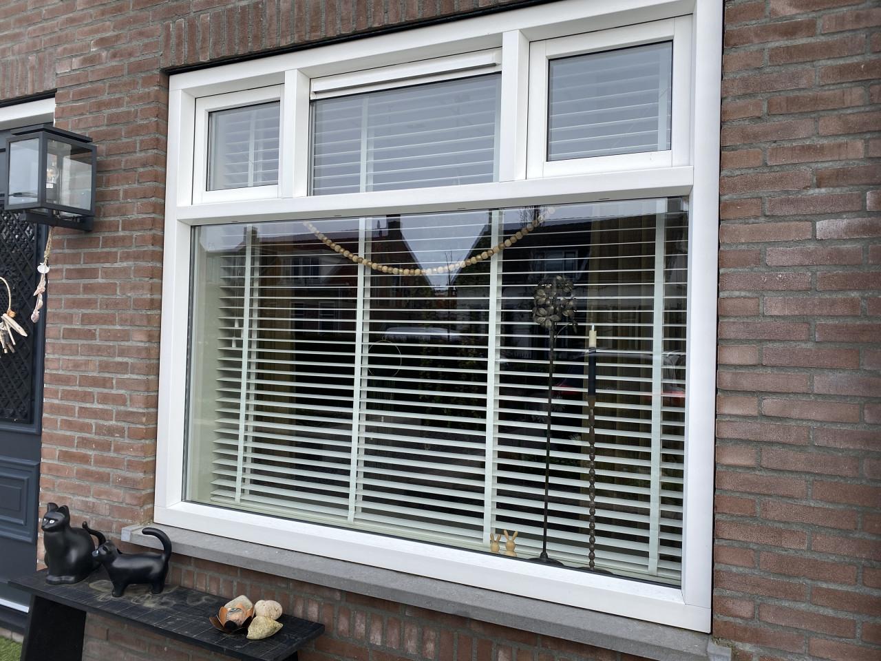 Zware witte JALOEZIEËN