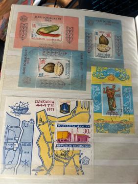 Kleine collectie blokken Indonesië gestempeld
