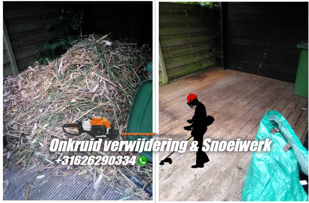 Snoeiwerk , tuinonderhoud