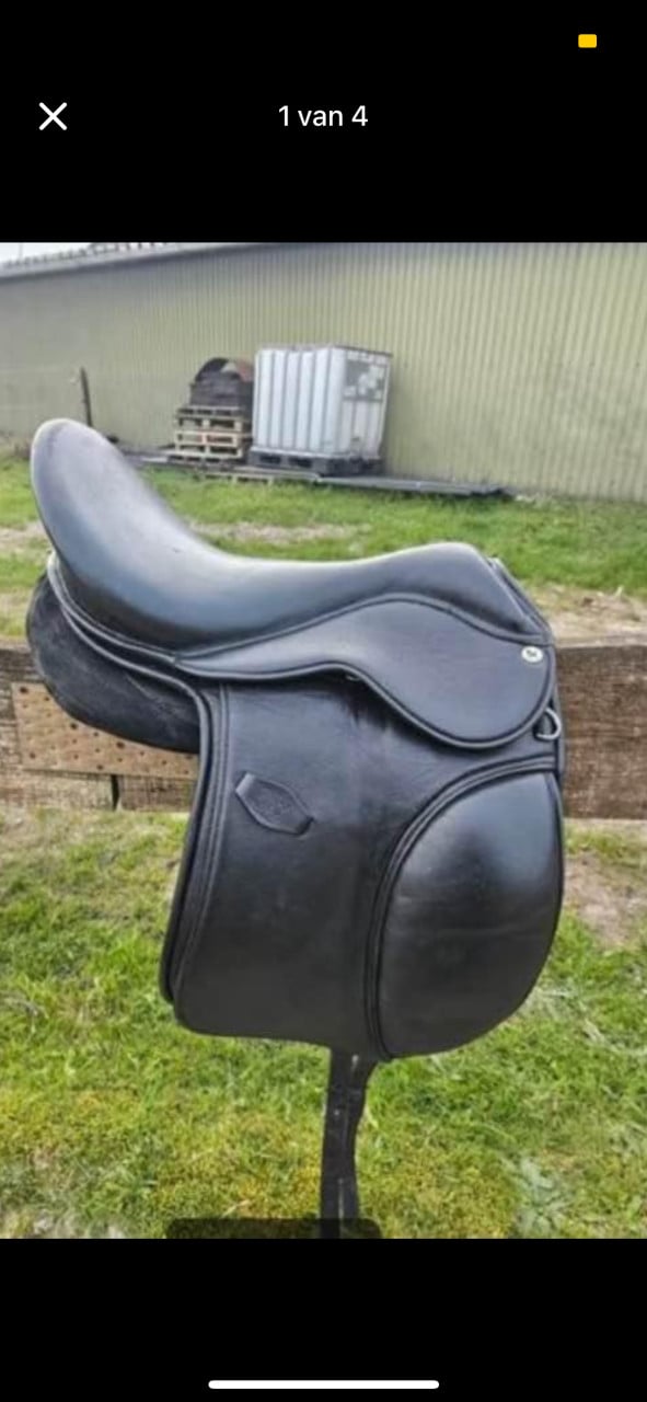 Diverse paardenspullen