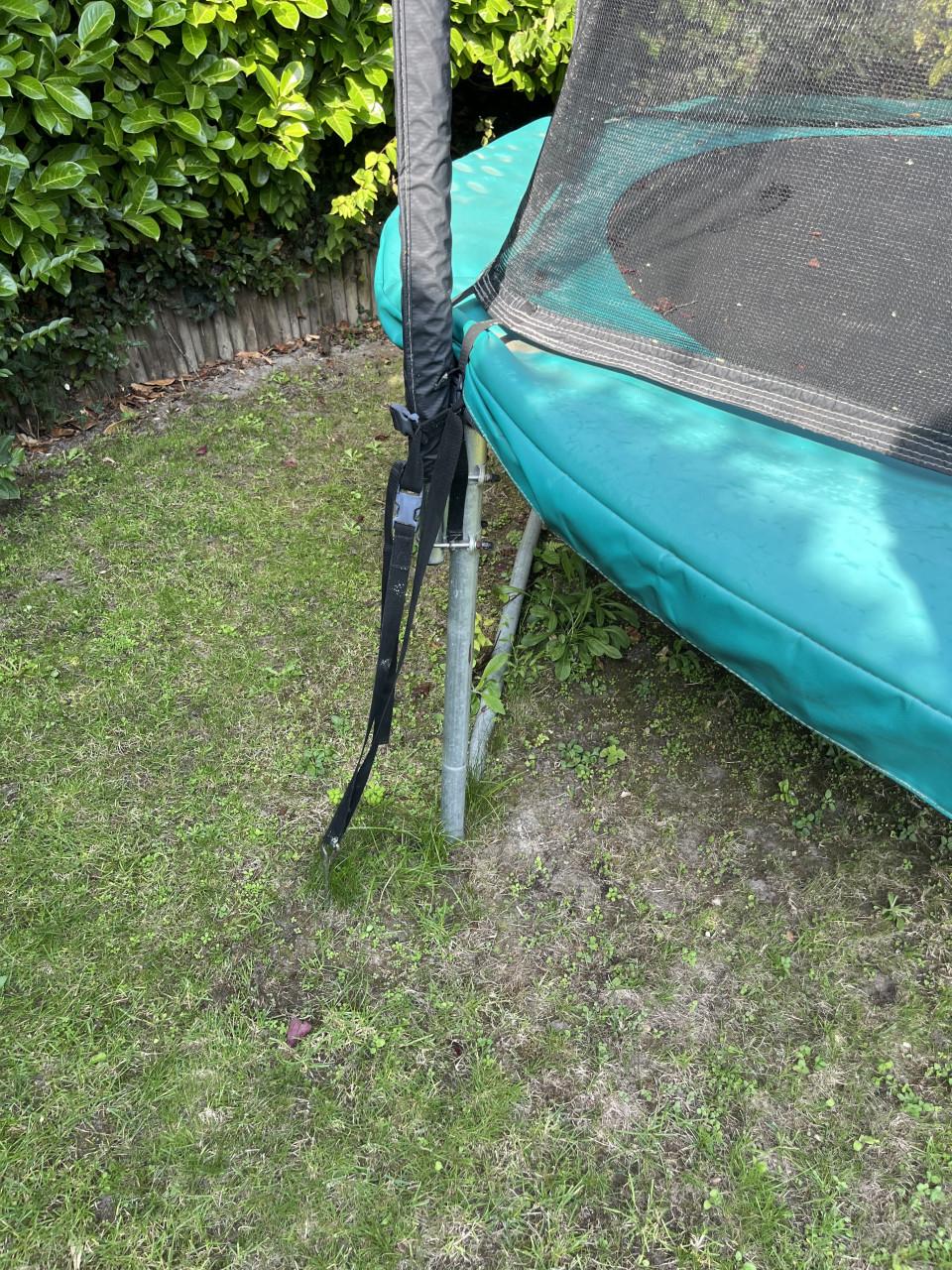 BERG Favorit Trampoline 330 cm met veiligheidsnet, ladder en ankerset