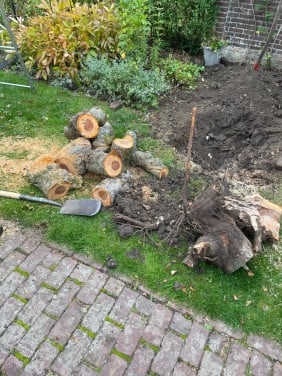 Appelhout voor draaiwerk gratis