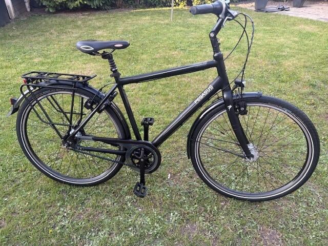 Pegasus Urbano  Herenfiets (Beltdrive!)