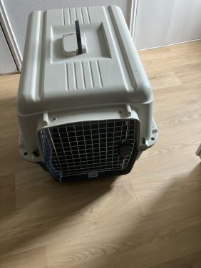 Reisbench/Transportbox zgan