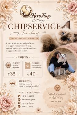 Kattenchip service