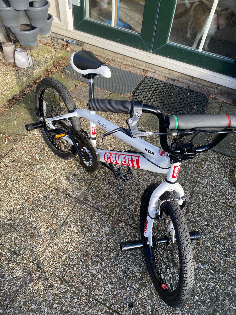 BMX COVERT