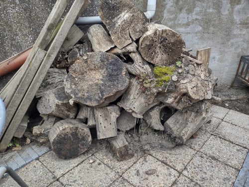 Haardhout, bijna een kuub stookhout. Hout, vuurkorf, haard.