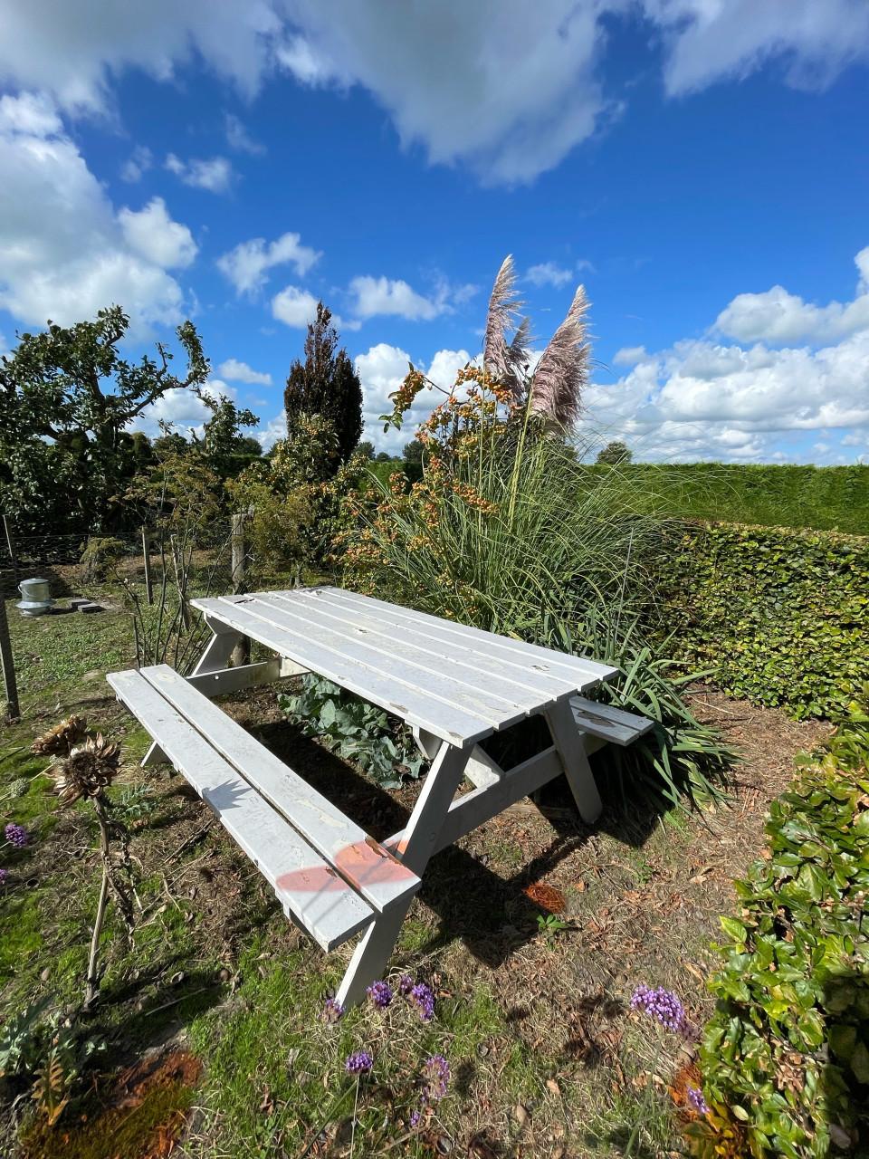 Picknicktafel. GRATIS