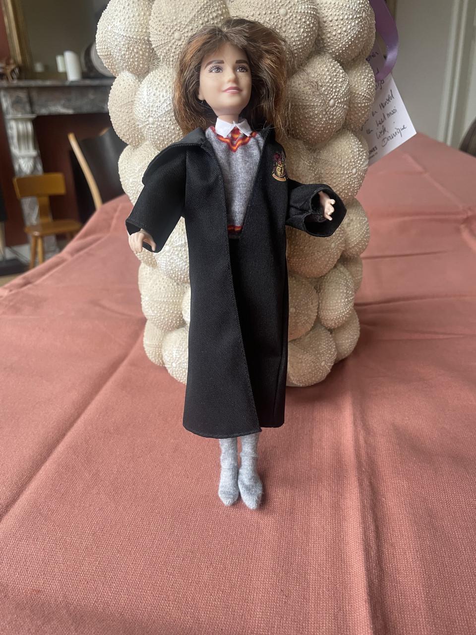 Harry Potter Hermeline en Ron 4 stuks Mattel barbie