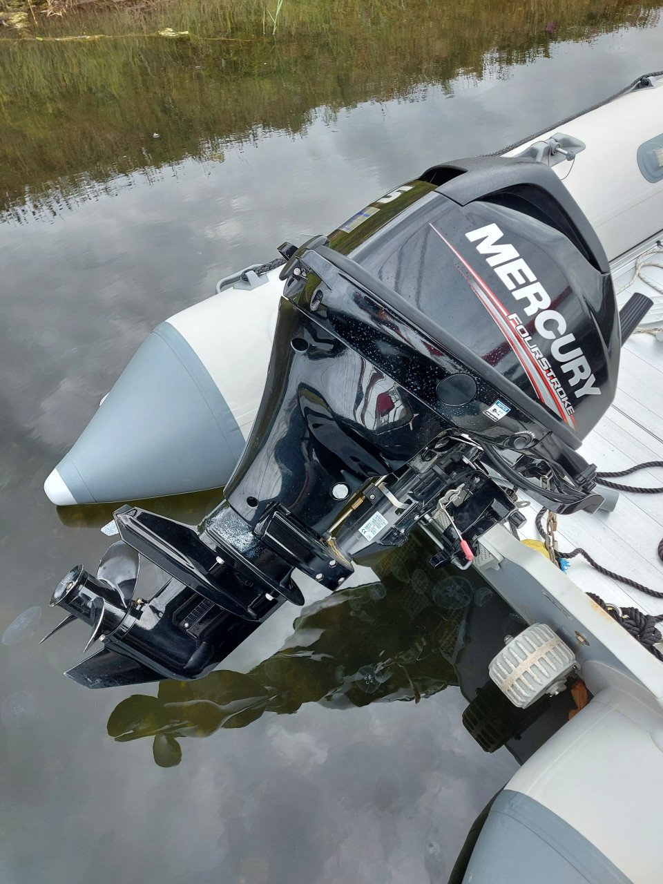 Basemarine 360 met mercury 15 pk