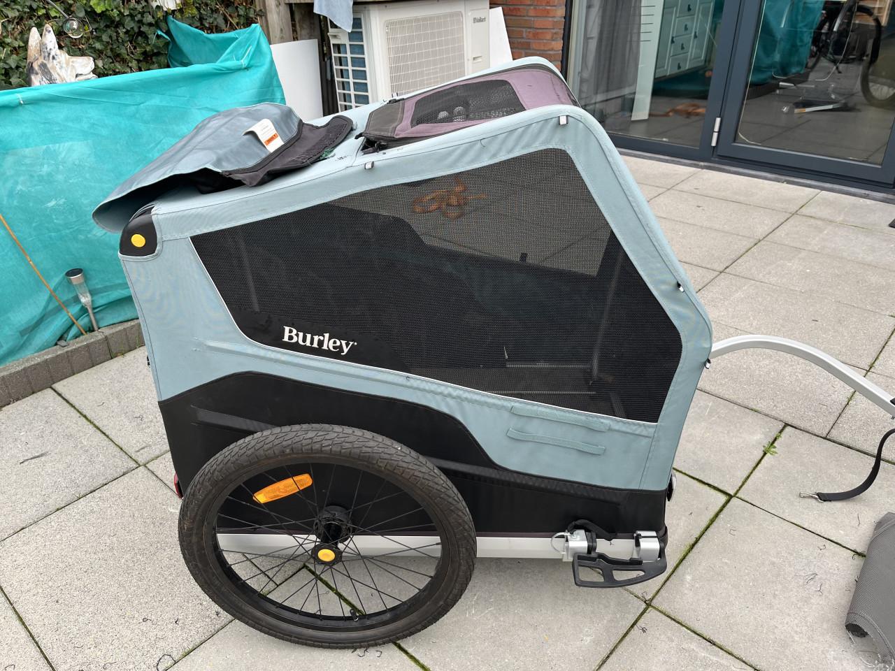 Bruly ranger xl