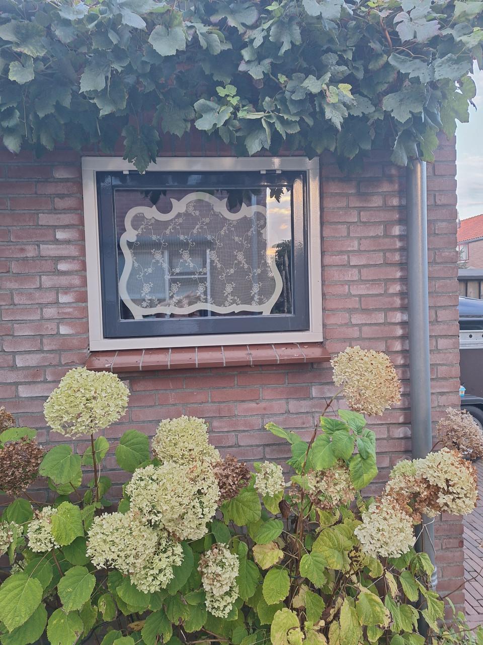Raamwerk