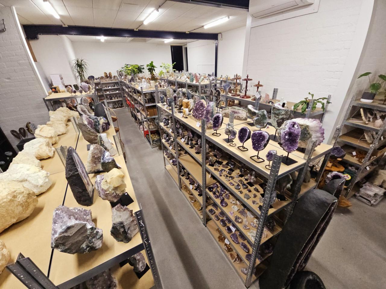 Belevingsdag 15 maart 2026