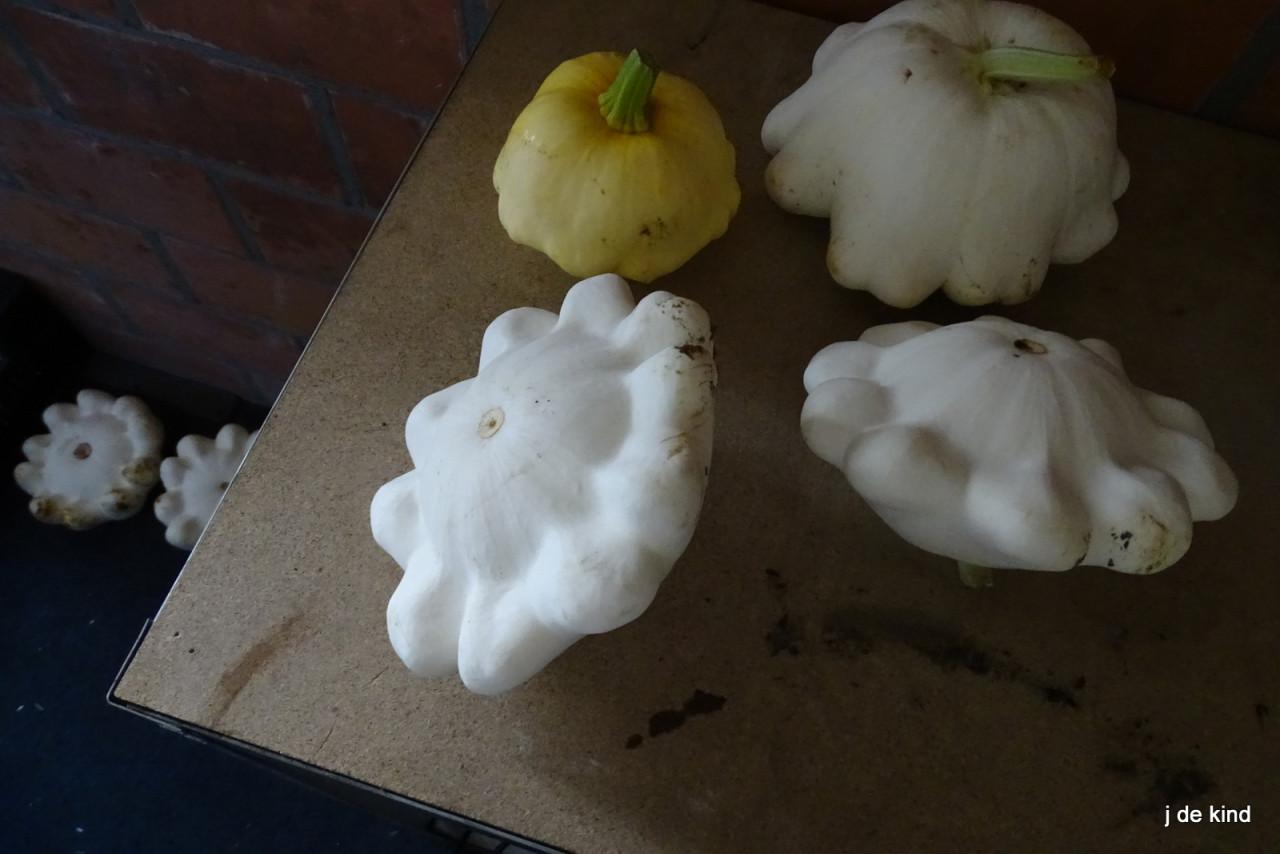 Patison en paprika