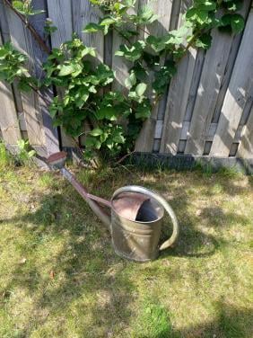 Brocante gieter