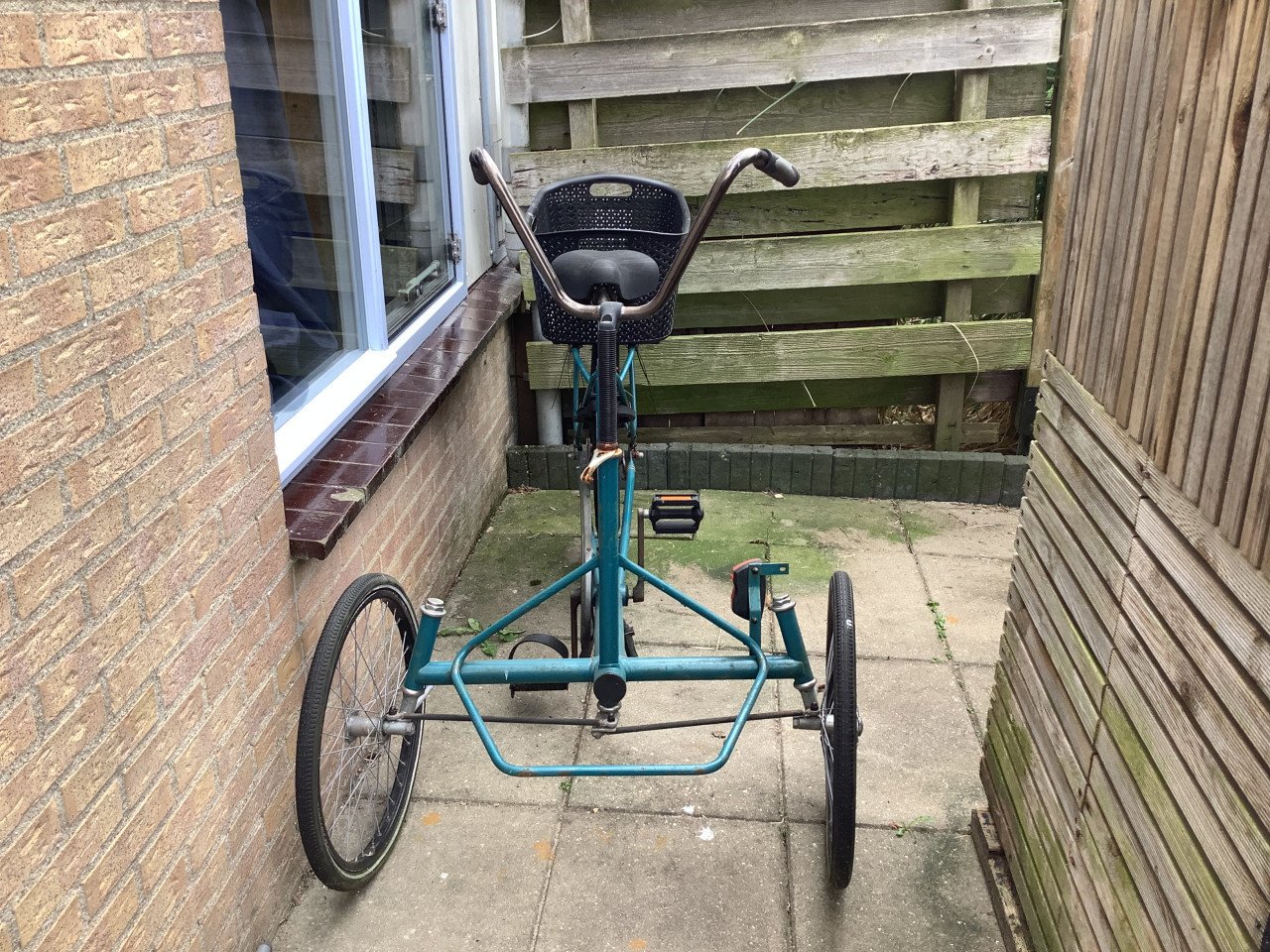 Driewiel fiets volwassen