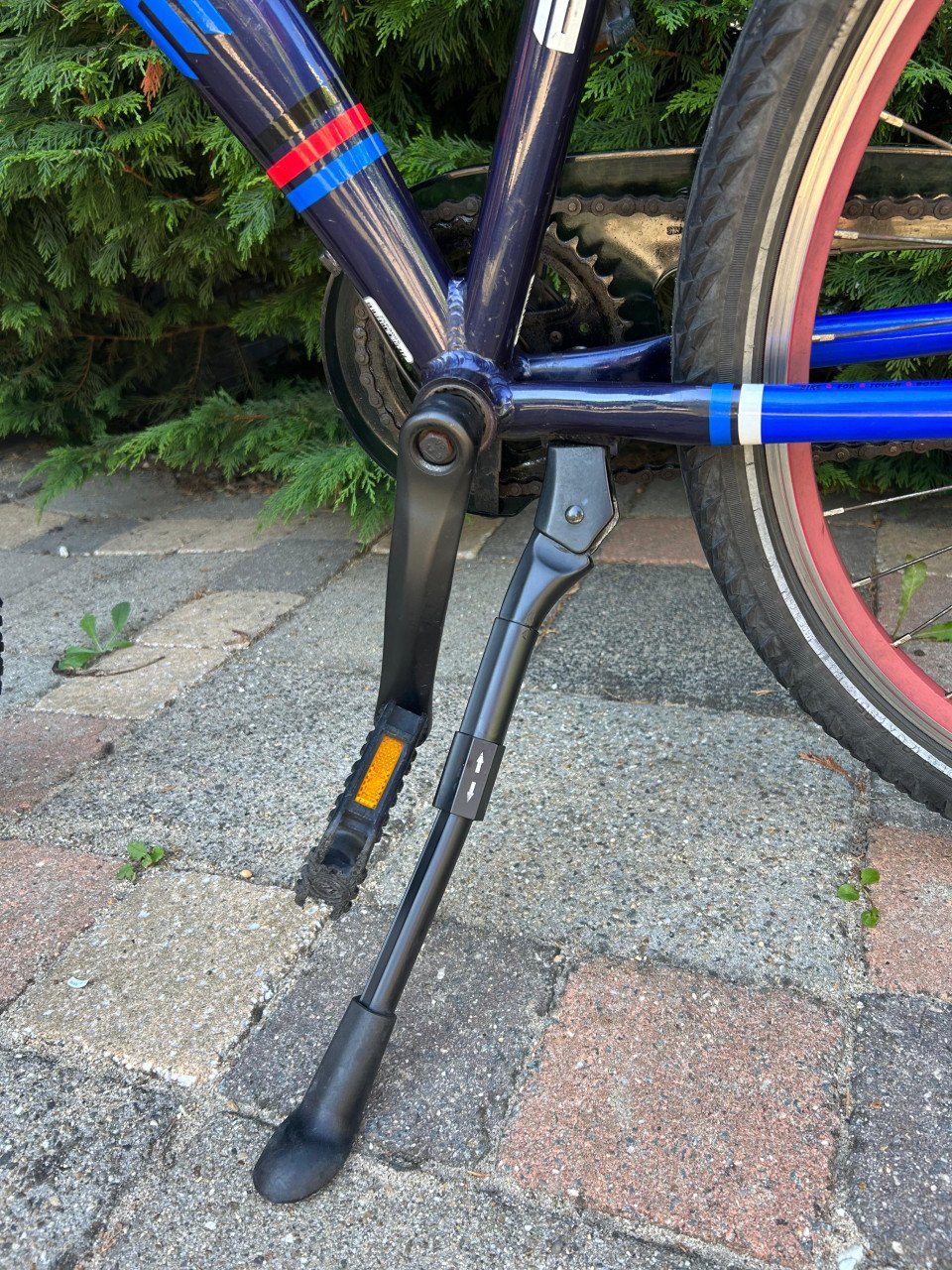 Batavus snake 26inch