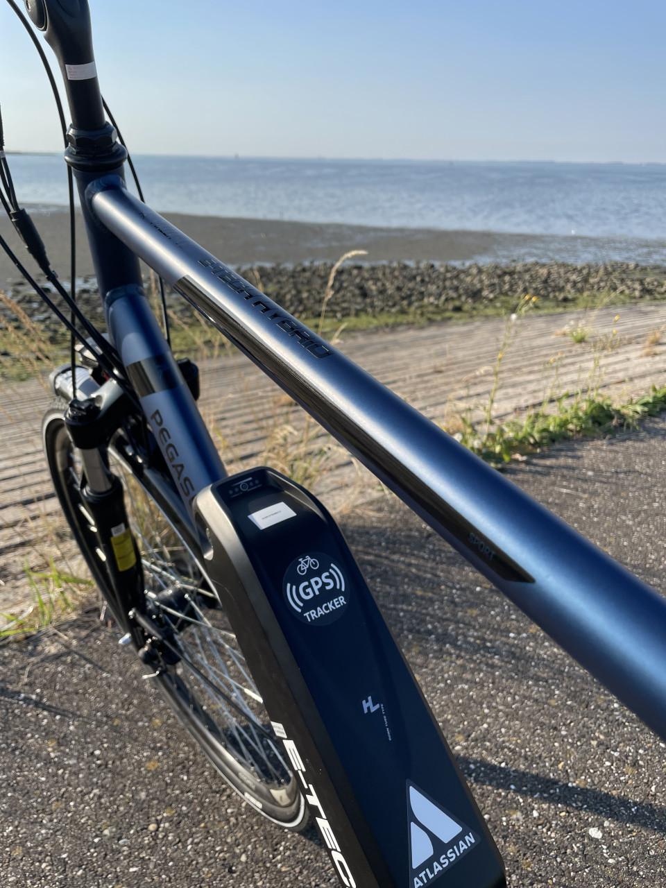 Custom Pegasus E-Bike 45 km.