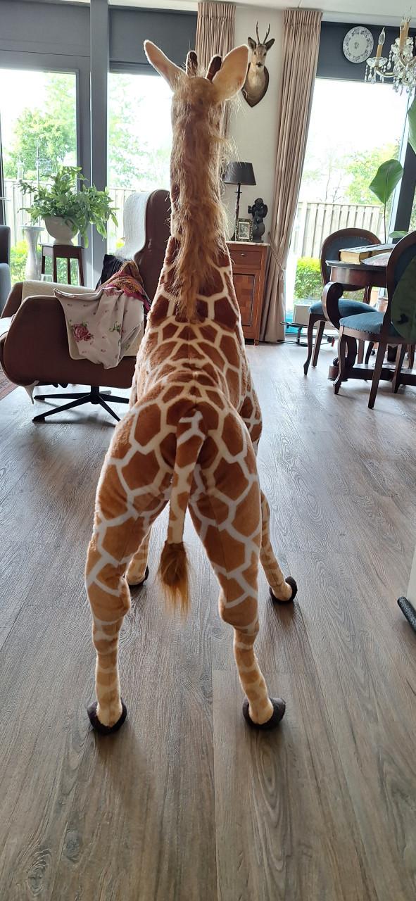 Giraffe ,zacht voor kinderen,nieuw