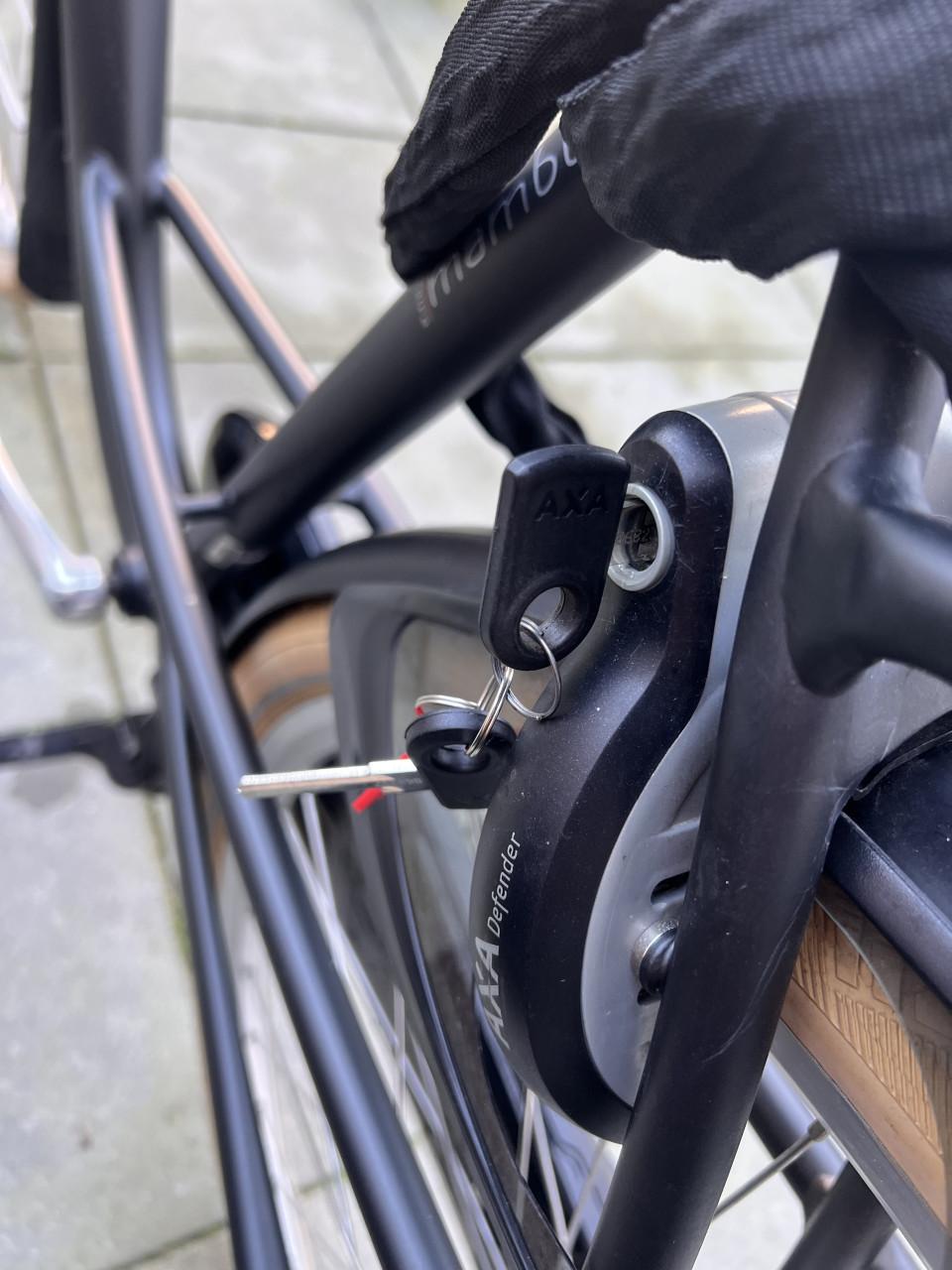 Batavus Mambo Inspire Topstaat