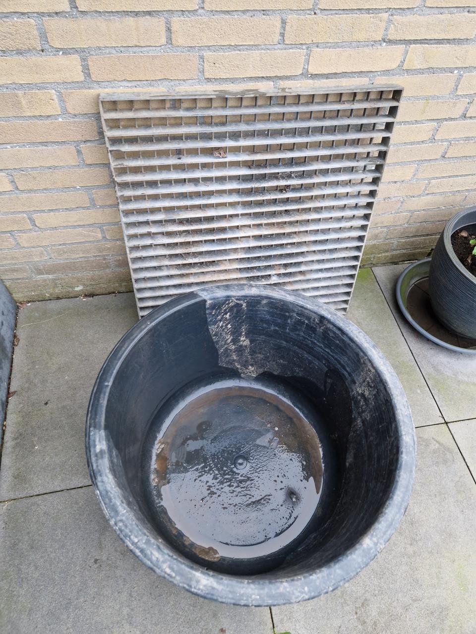 Waterrooster v fontein en waterbak