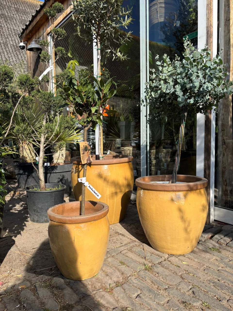 Geglazuurde potten hoog okergeel +gat afwatering