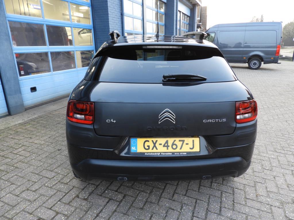 Citroen C4 Cactus 1.2 puretech business plus (nieuwe distributieriem)