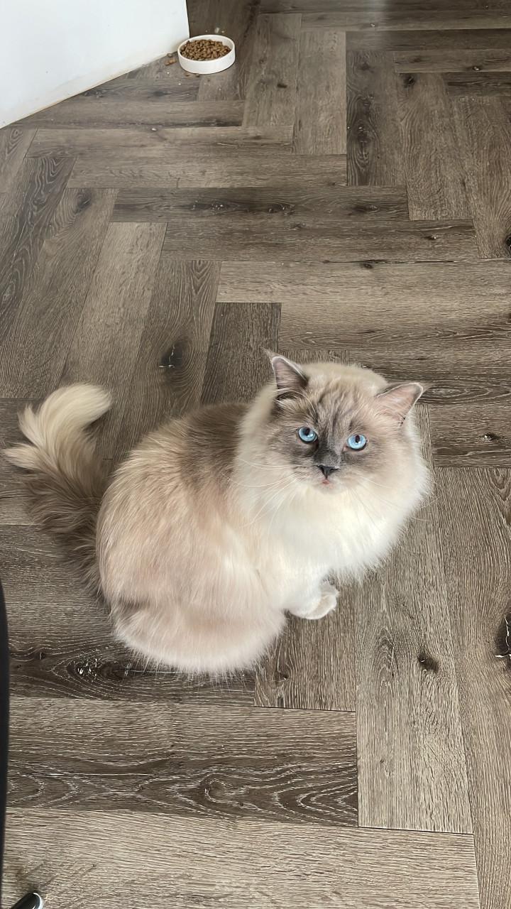 Ted en Nova zijn op zoek naar personeel