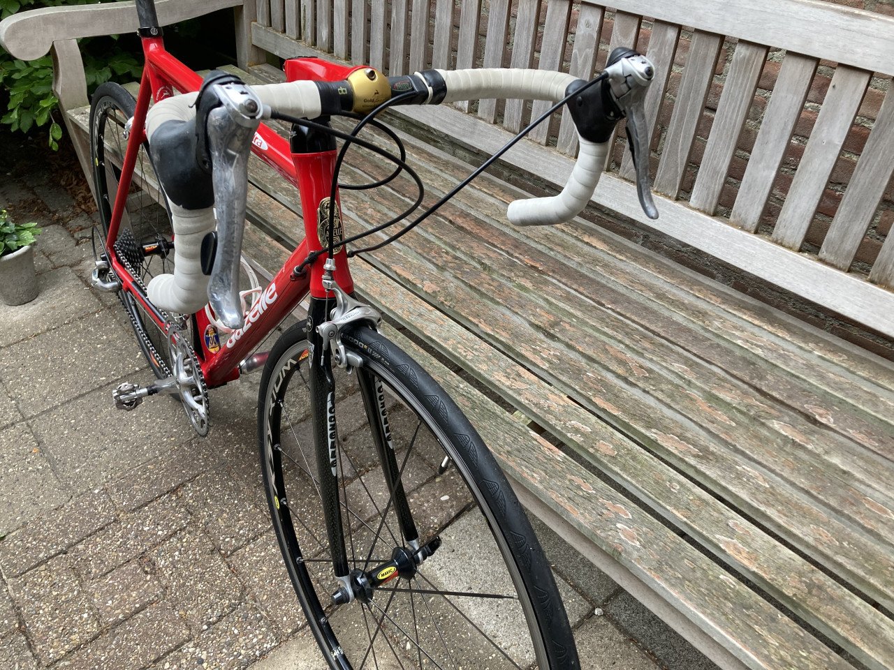 Gazelle Squadro