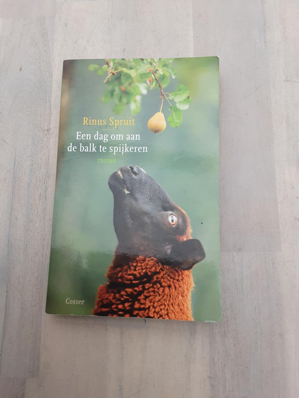 Rinus Spruit - Een dag om aan de balk te spijkeren