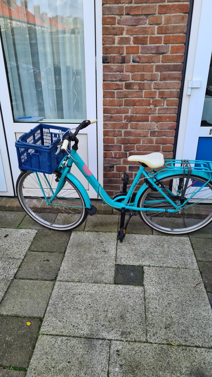 Meisjes fiets BATAVUS met 3 versnellingen-26 inch-trap rem achter