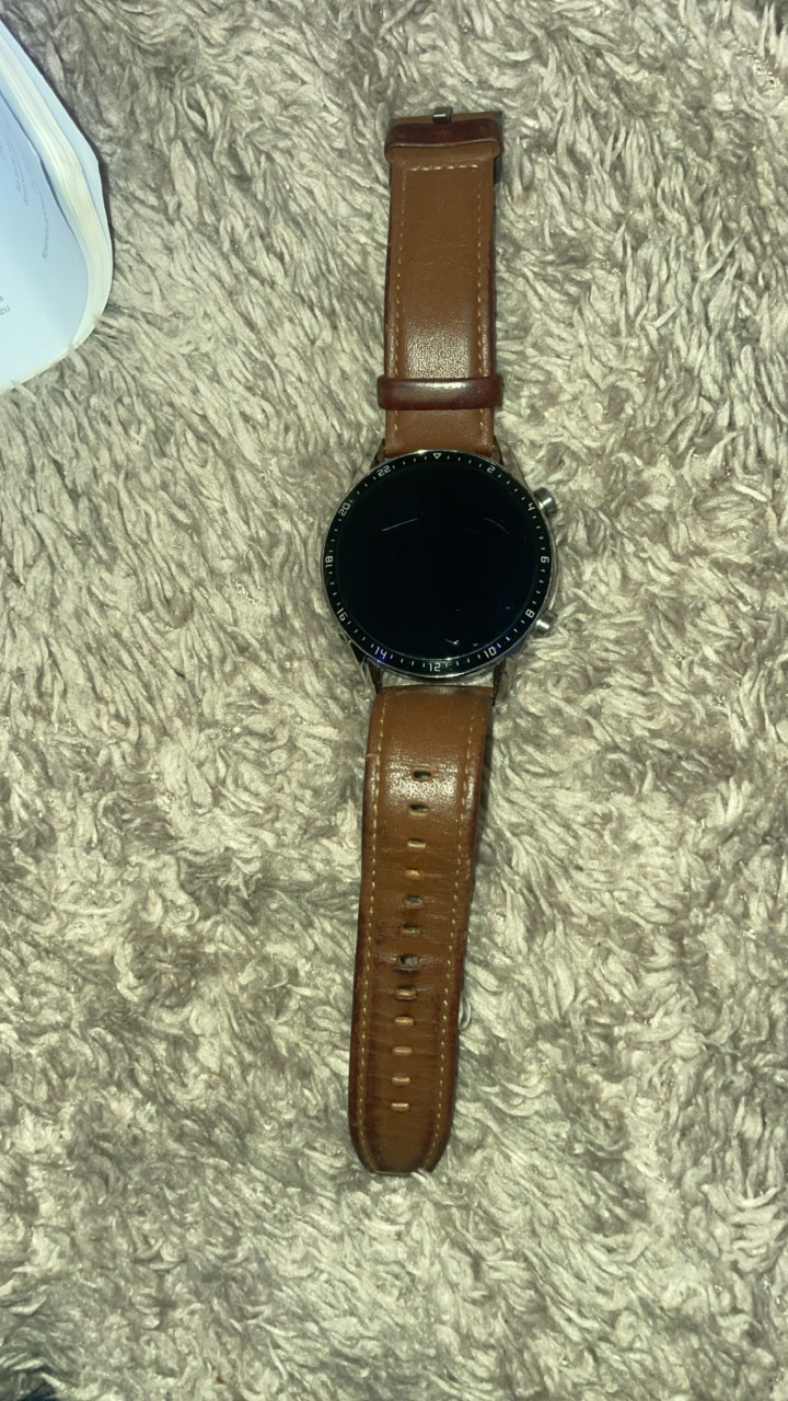 Huawei watch gt 2 bruin