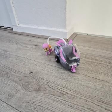 Paw patrol