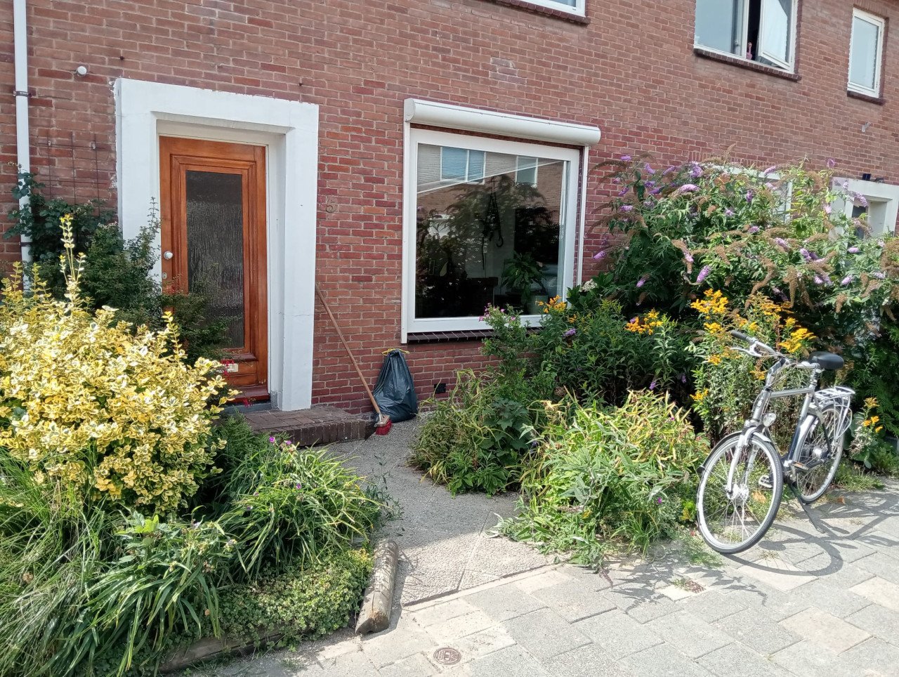 Tuinman nodig? Ben Beschikbaar!
