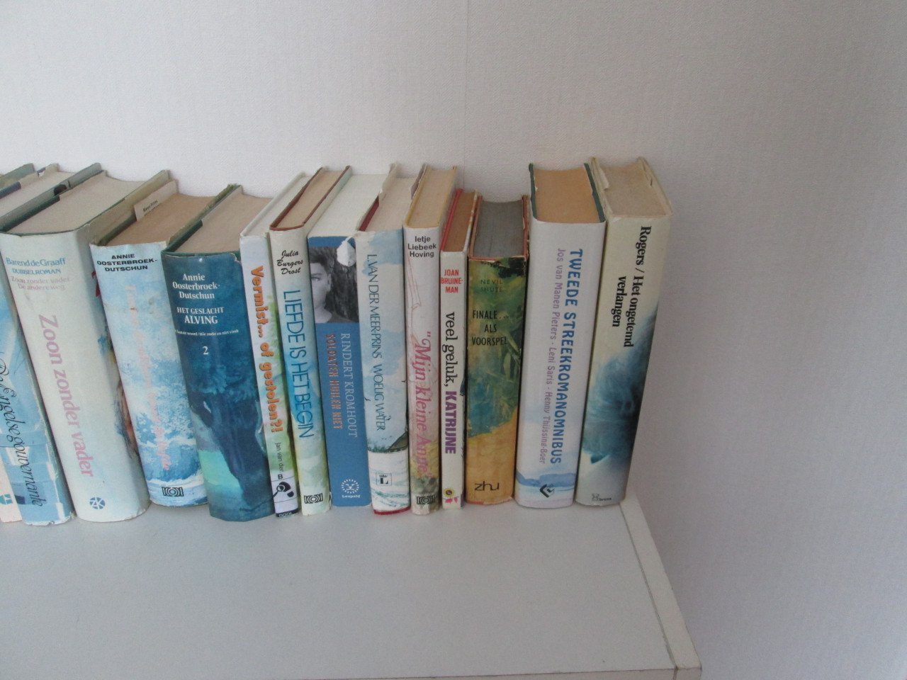6 grote dozen STREEKROMANS