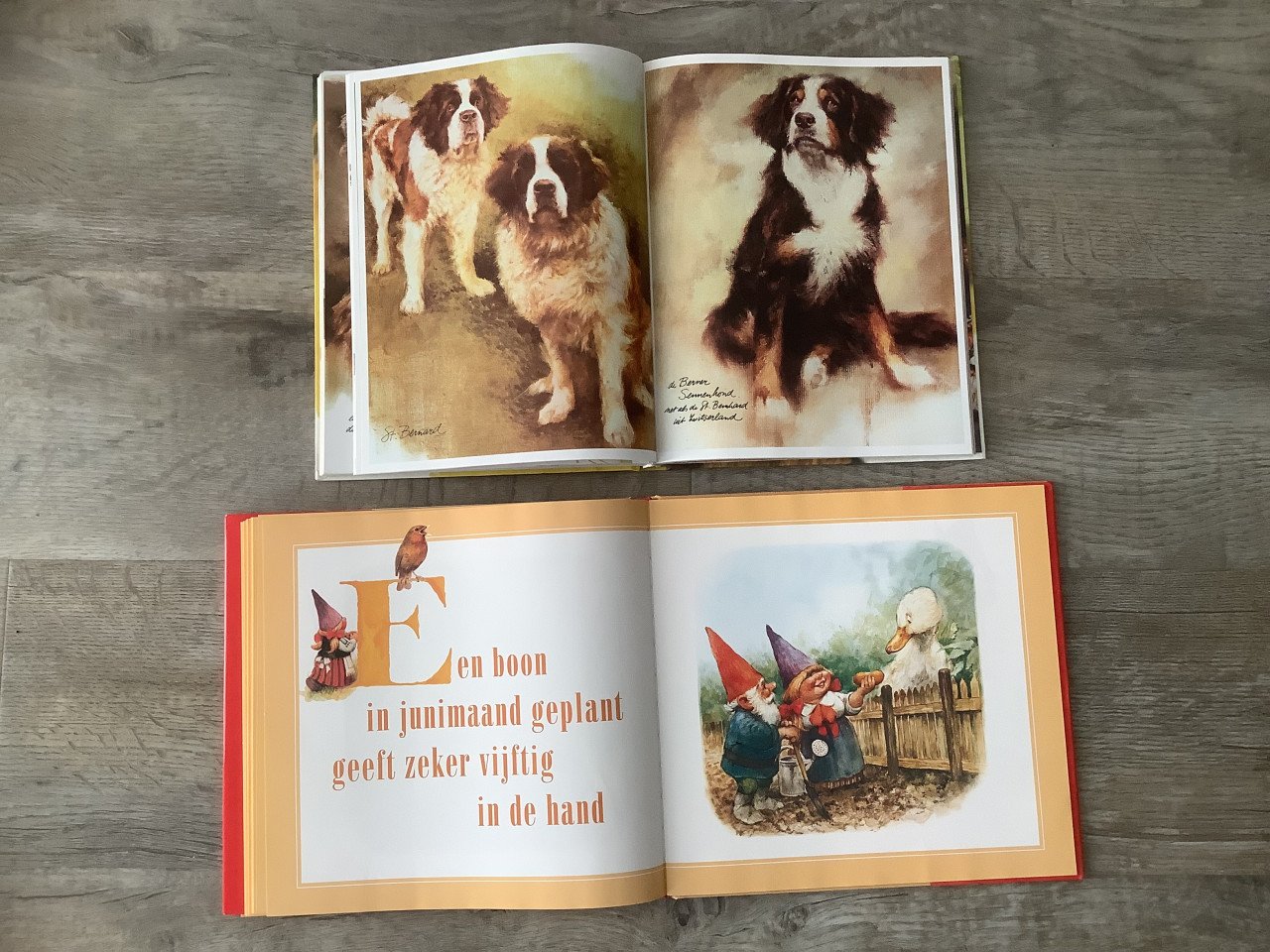 4x Rien Poortvliet - Hak/Tak, Hooi/Gras, Braaf, Kabouters Spreekwoorden