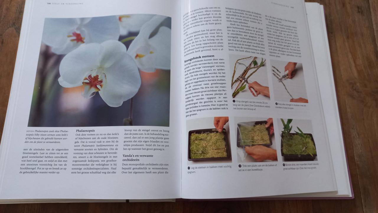 Orchideeën boek
