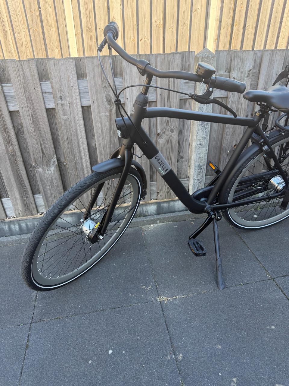 Gazelle esprit