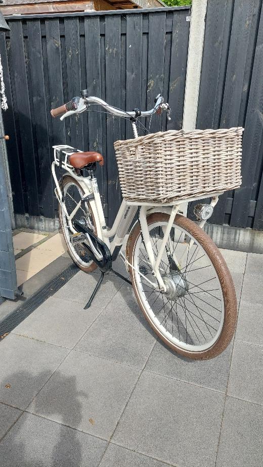 Giant Triple X (elektrische fiets)