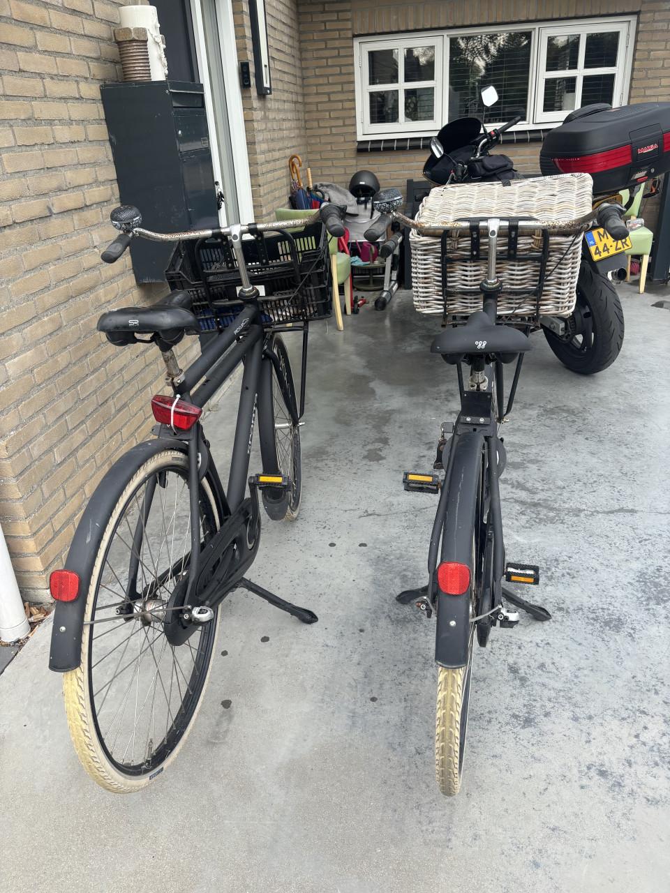 Sparta heren transportfiets
