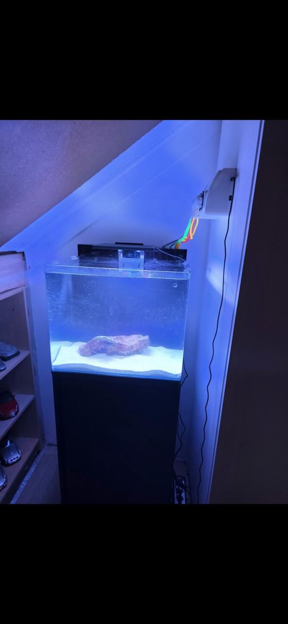 Zeeaquarium